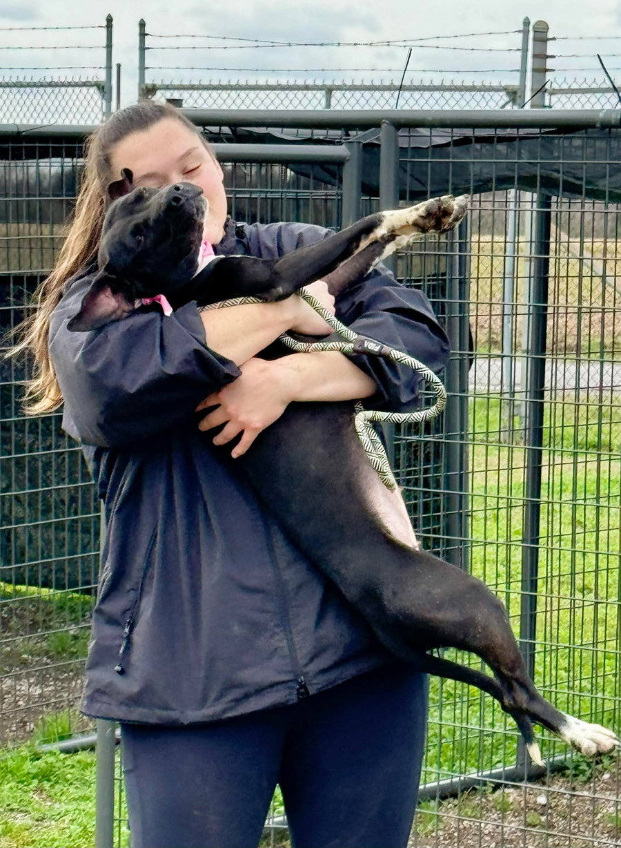 Sheila - She'll knock your Socks off!