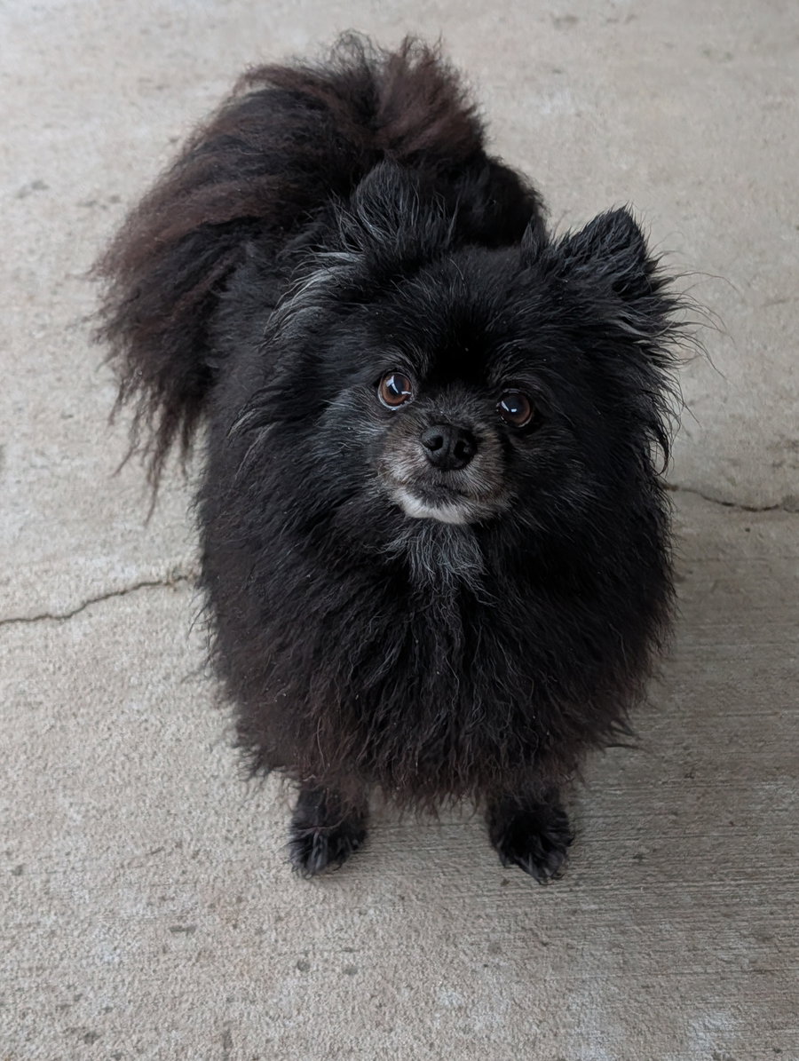 Sport- spunky senior