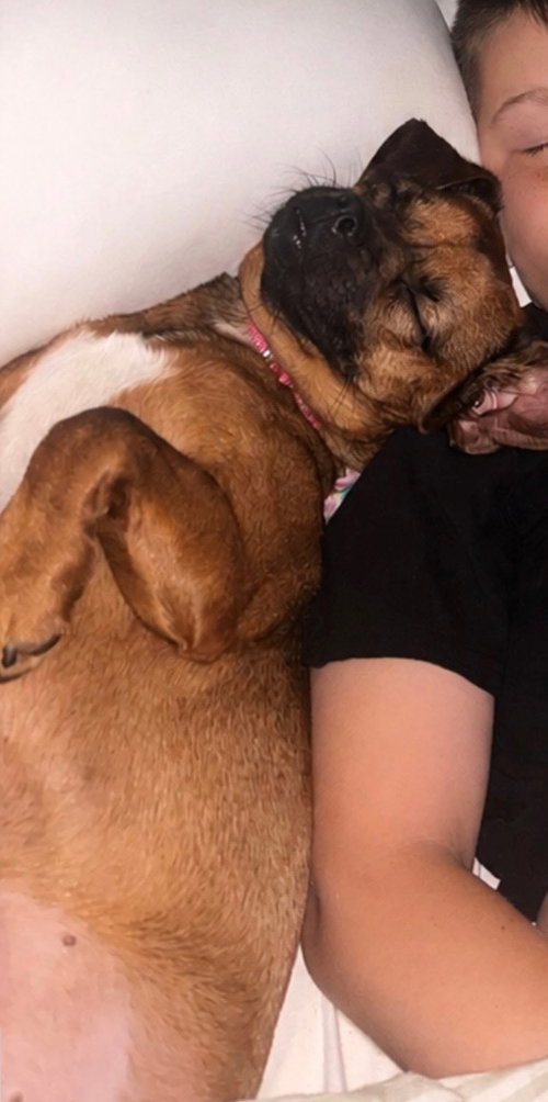 Daisy - No More Applications Please photo 3