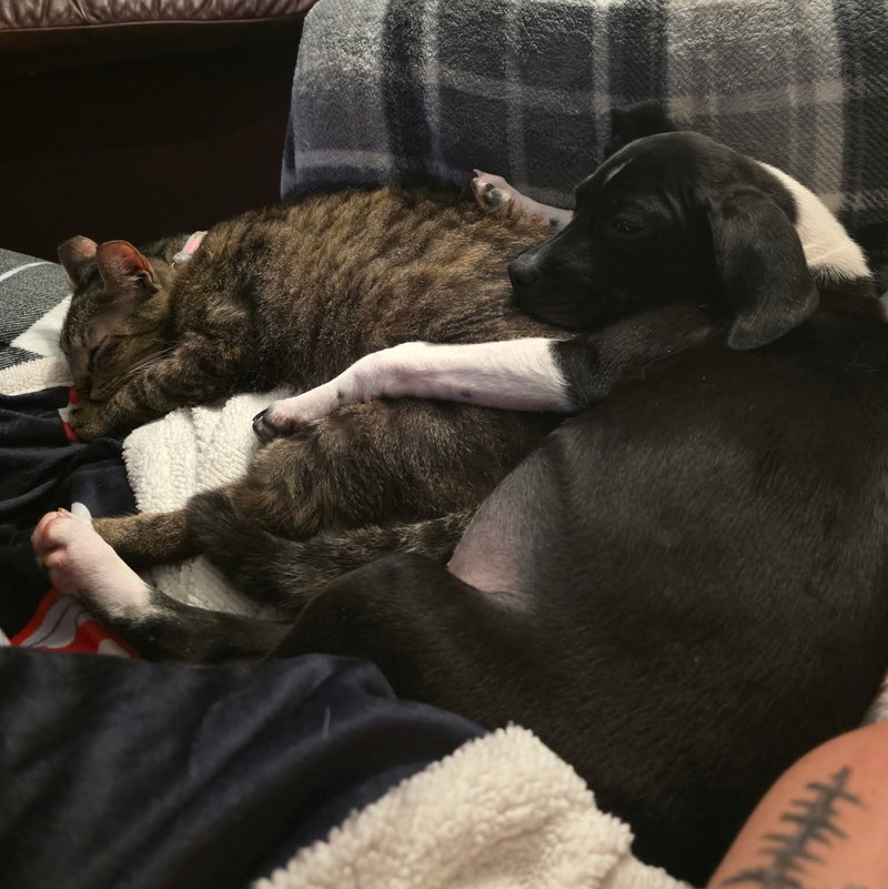 Peaches (B&W) – Every day she’s a little braver