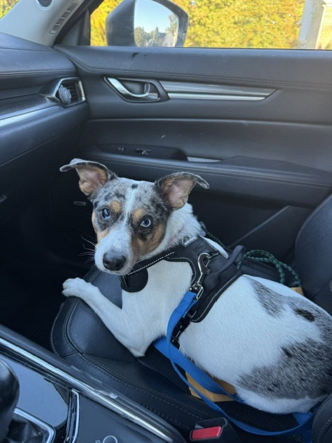 Marley - Maybe Me?, photo 4