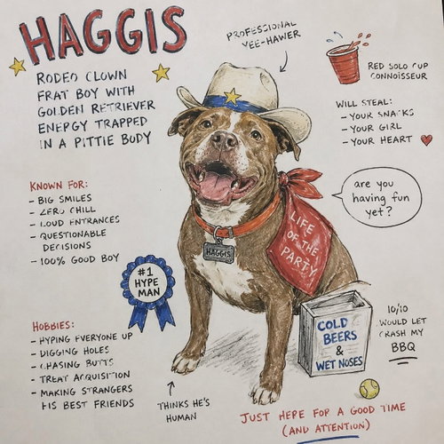 Haggis- underbite.... overlove photo 5