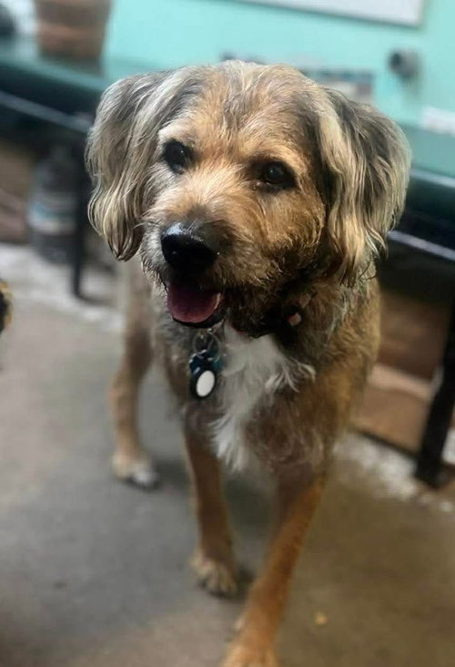 Henry-sweet senior