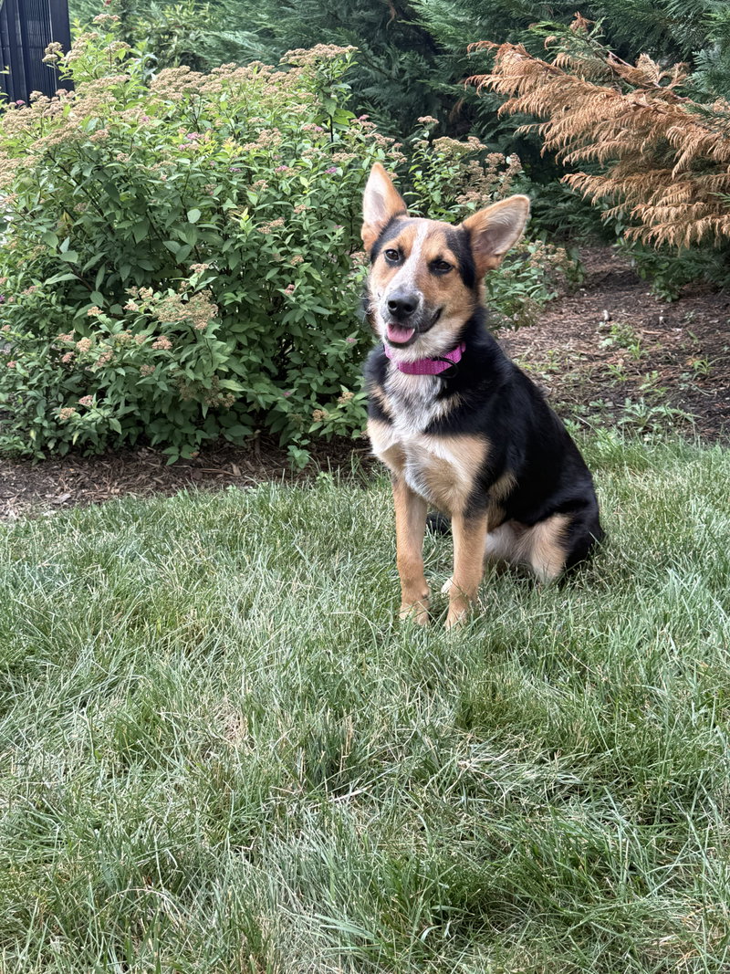 Ava- your best girl