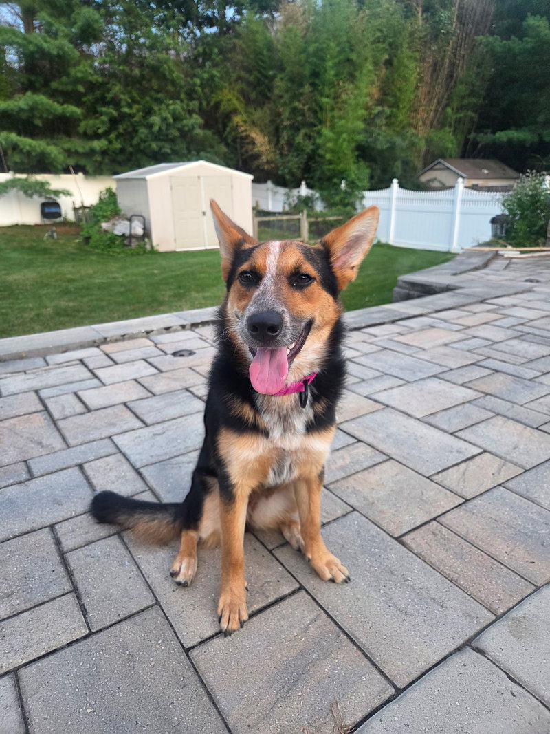 Ava- your best girl