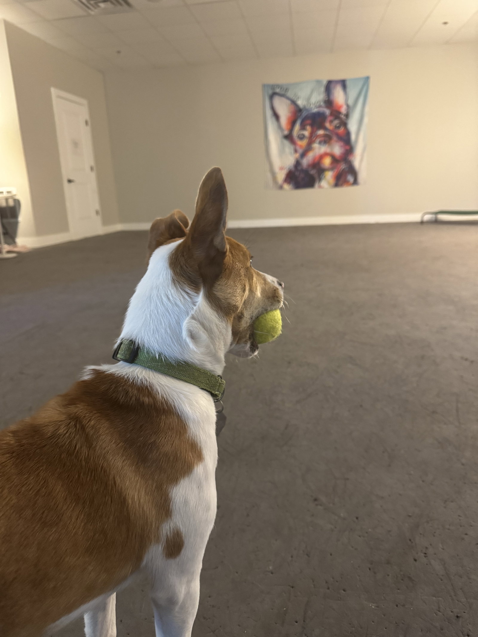 Nyah - Small Survivor, Big Heart, photo 6