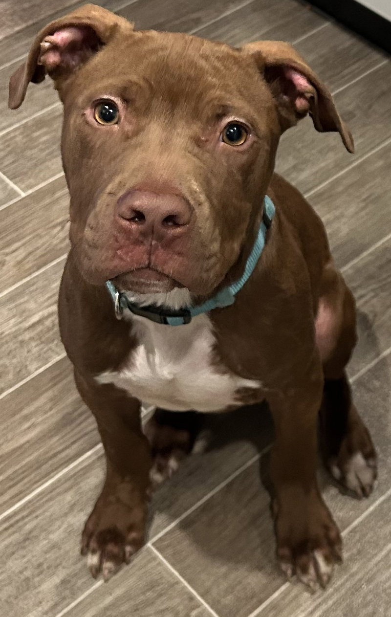 Loki aka Luca – new name bc he is so LOW KEY