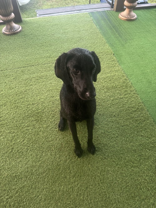 Charlotte- Too Cute To Miss photo 3