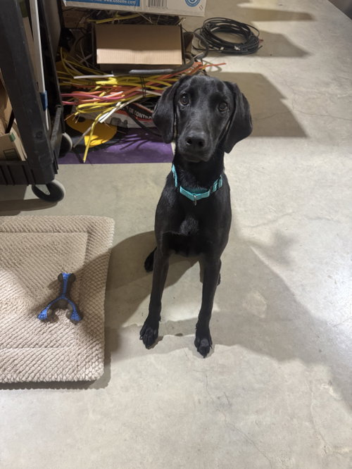 Charlotte- Too Cute To Miss photo 4