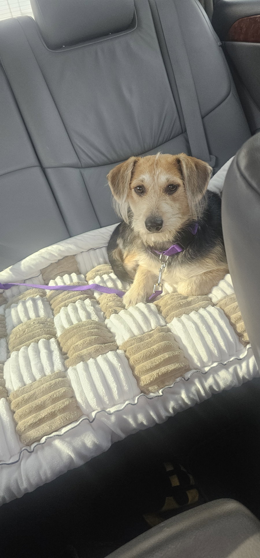 Daisy- as sweet as her name