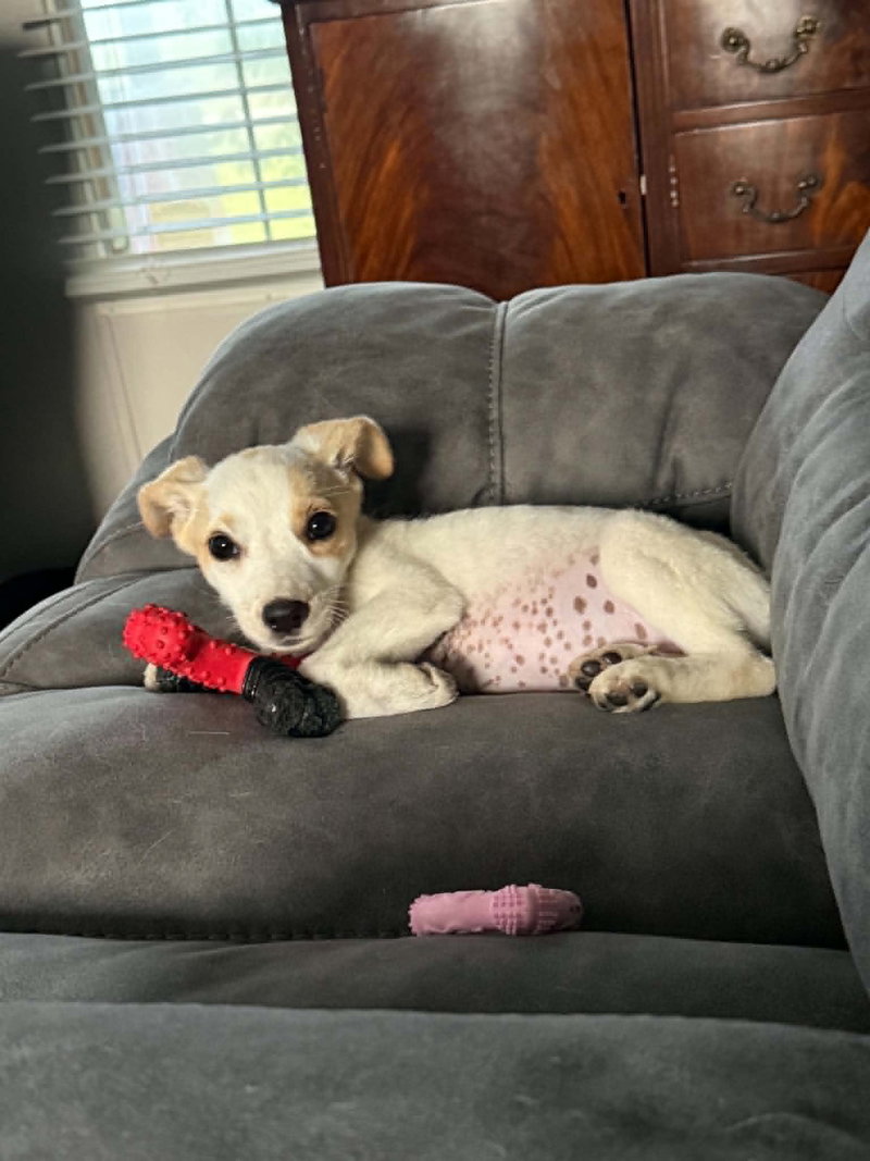 Sundae – as sweet as her name