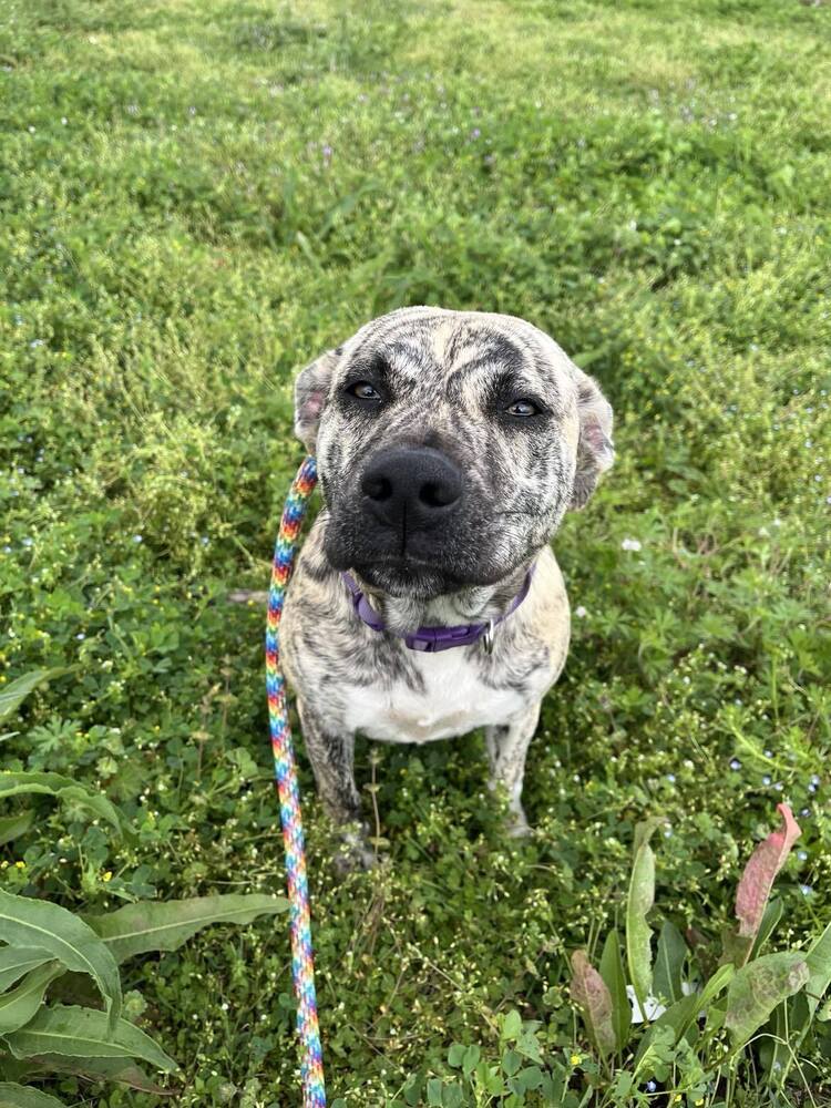 Lisa – Loving Goofball