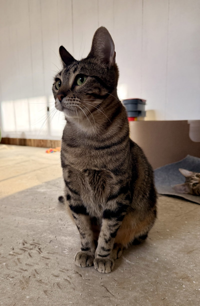 LUNA