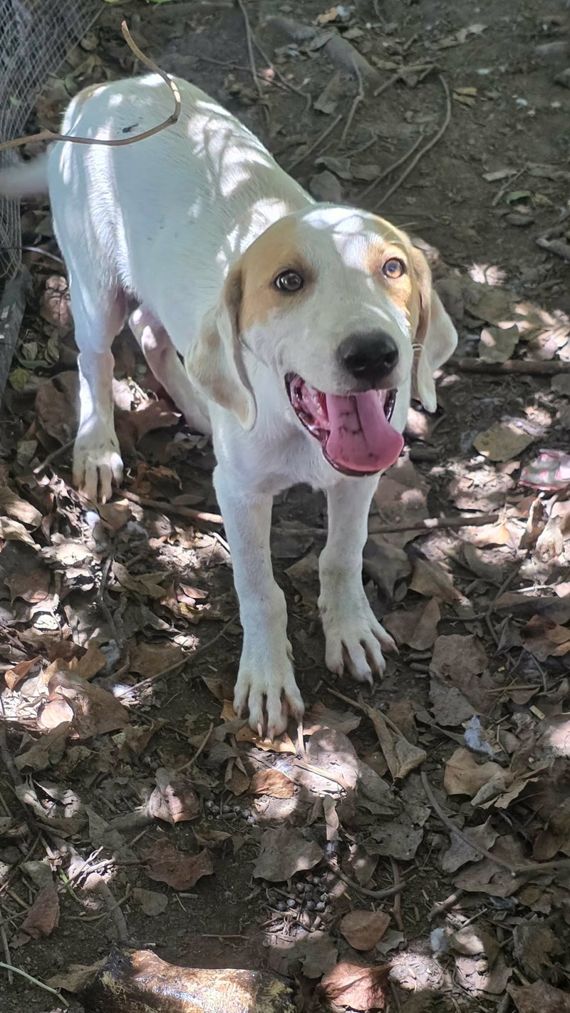 Tucker – Life of the Party!