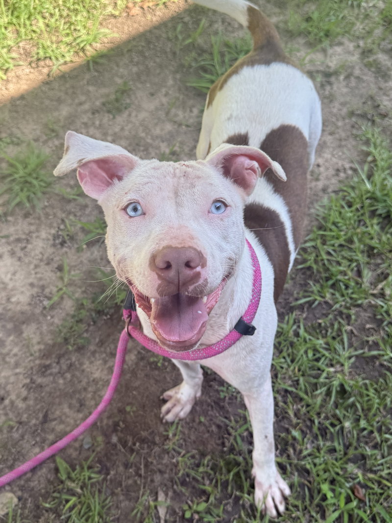 Coco- look at those baby blues