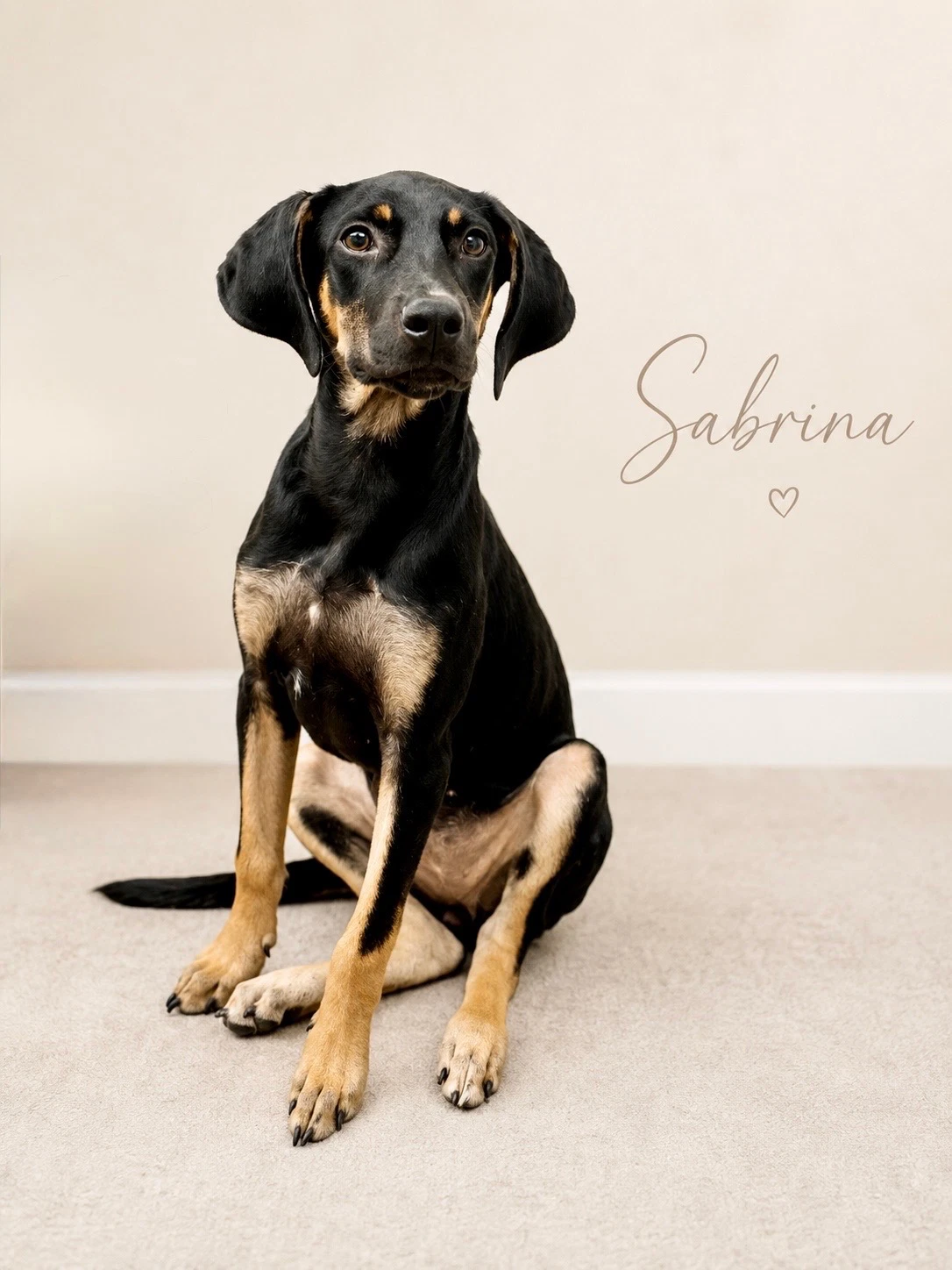 Sabrina- Long Legged Beauty