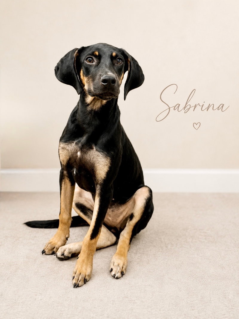 Sabrina- long legged beauty