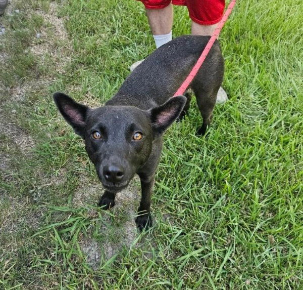Paisley – Possibly Yours