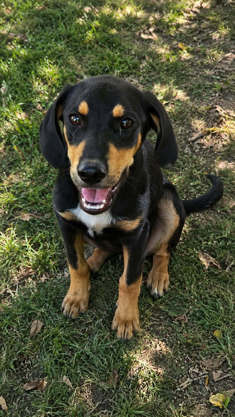 Sasha- she’ll keep you on your toes