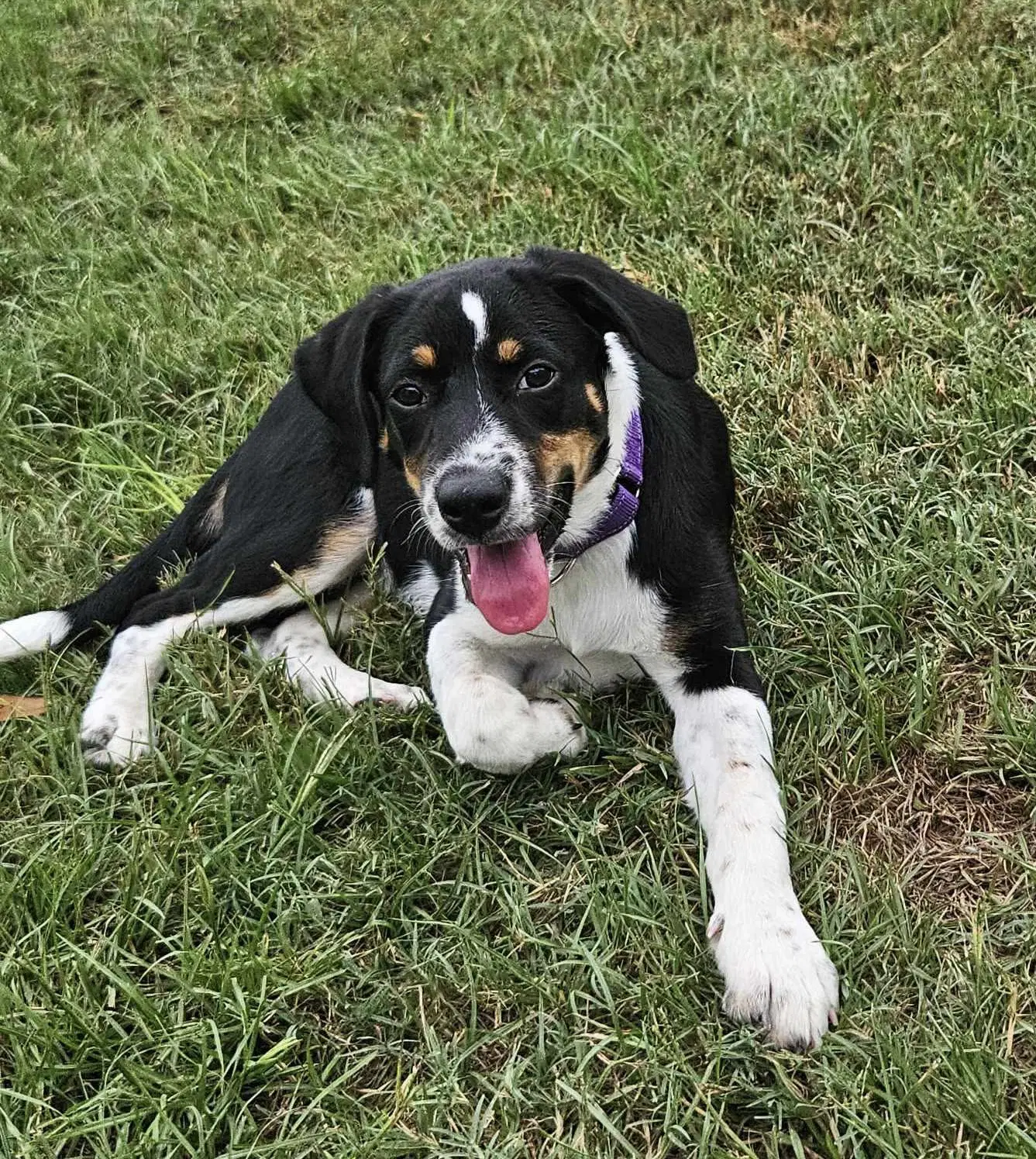 Haven- Too Cute To Handle image 2