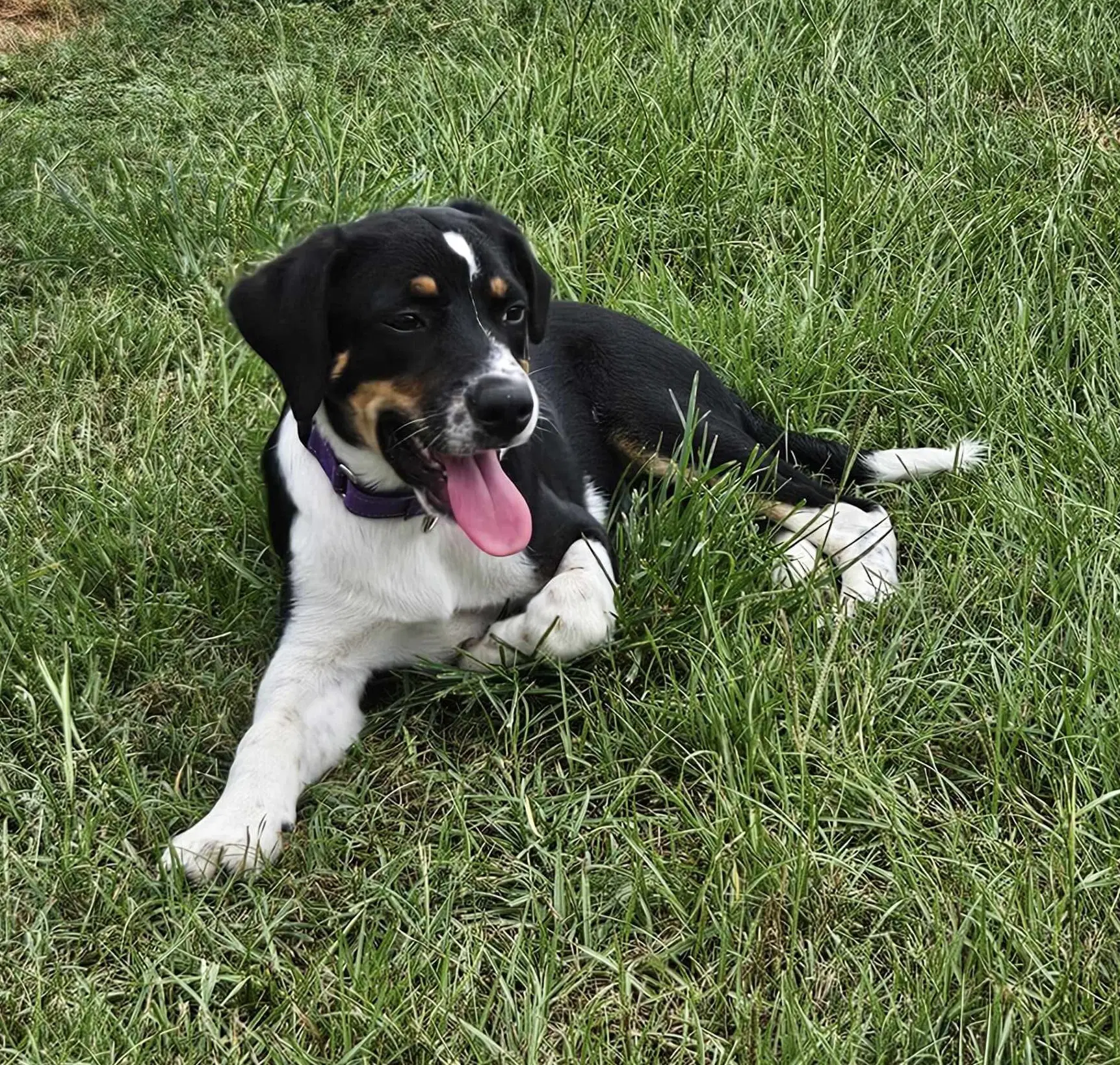 Haven- Too Cute To Handle image 4