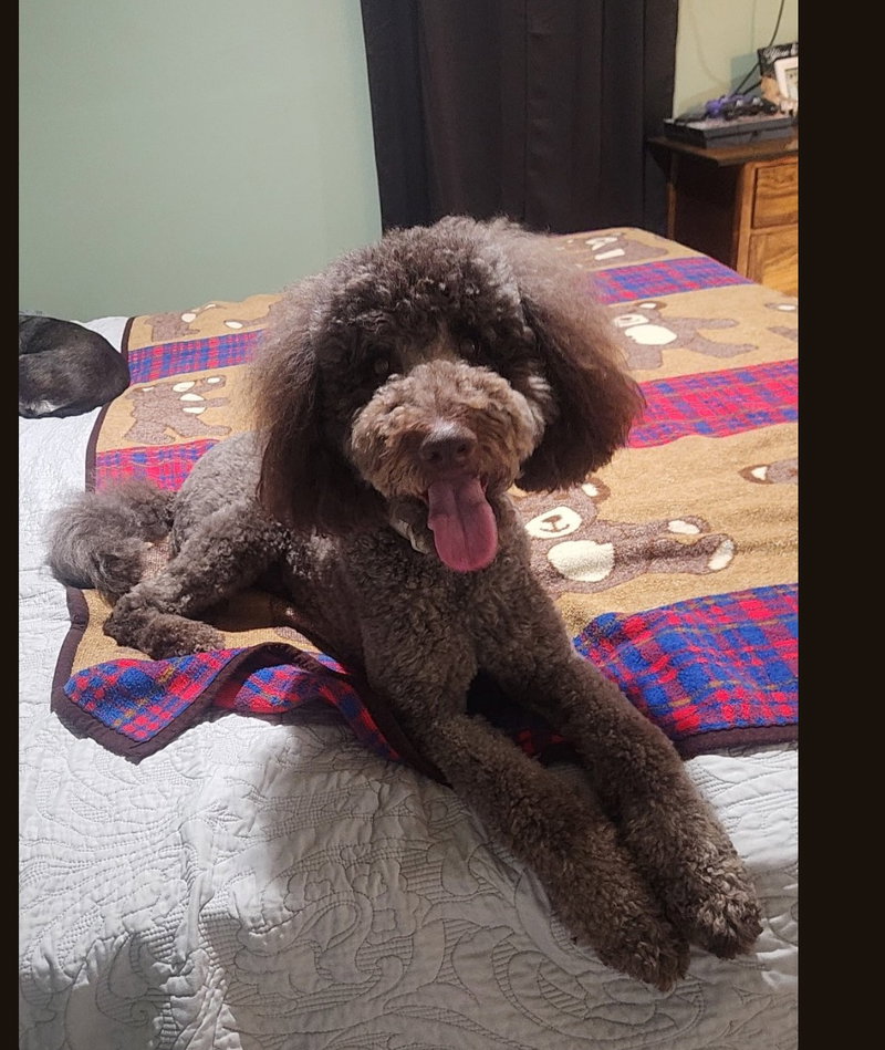Burke – Best Boy Potential