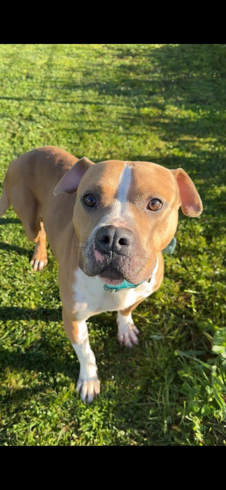Milton- goofy boy