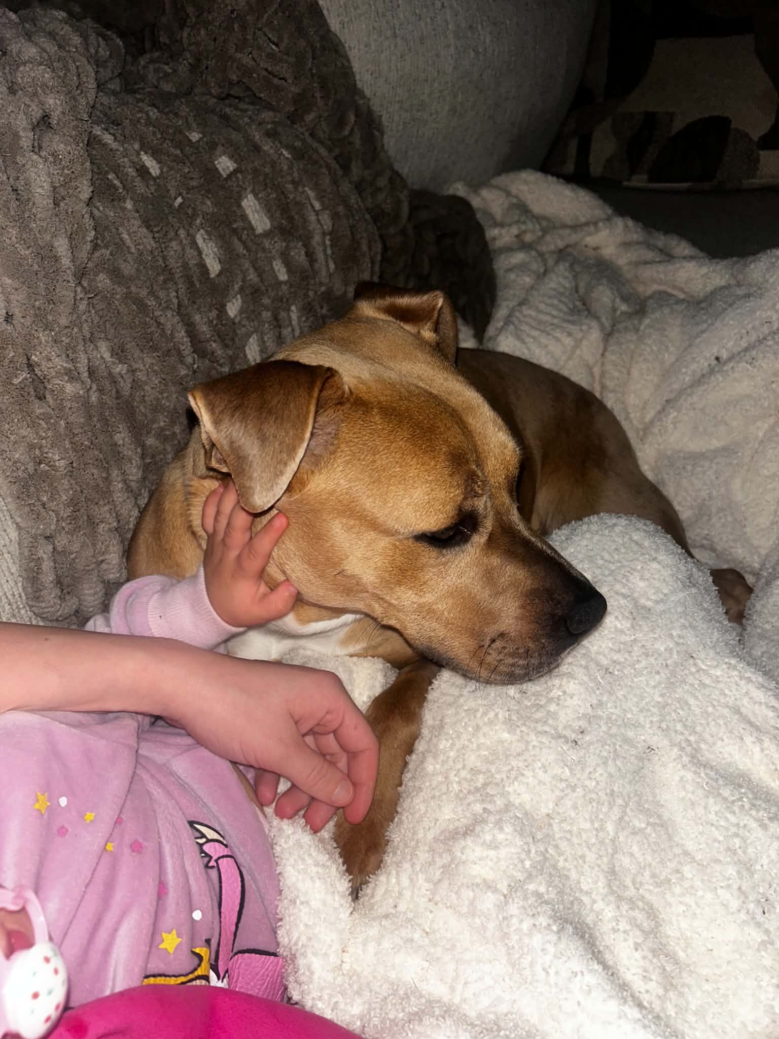 Baylee- Sweet Soul image 3