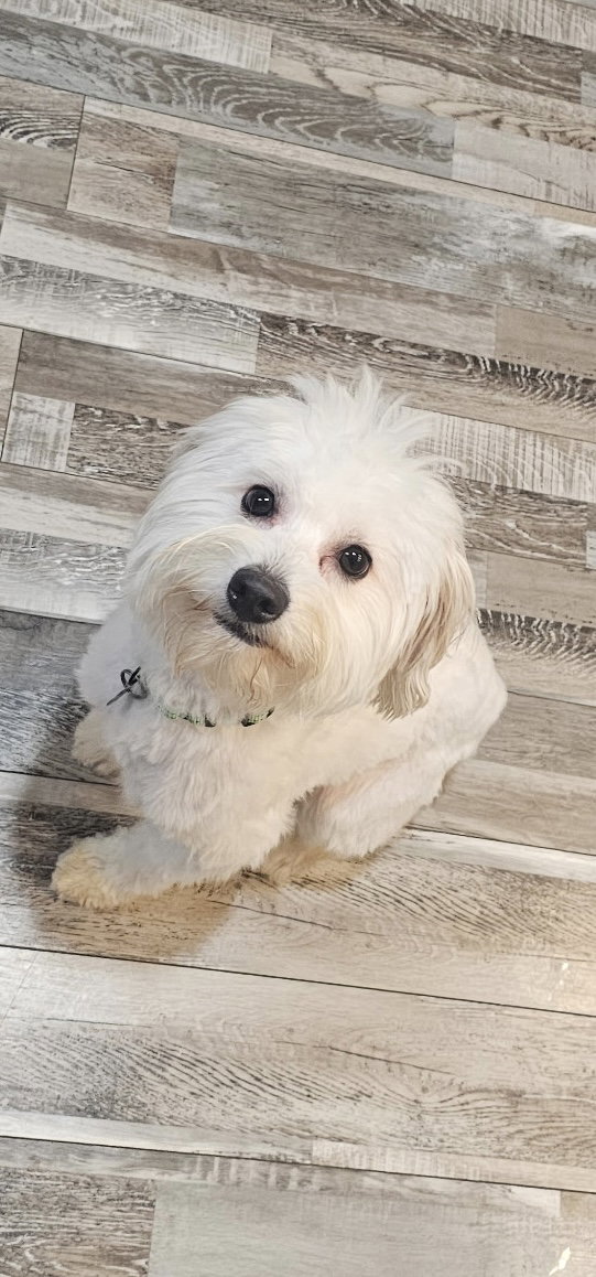 Coco Boy -NO MORE APPLICATIONS PLEASE