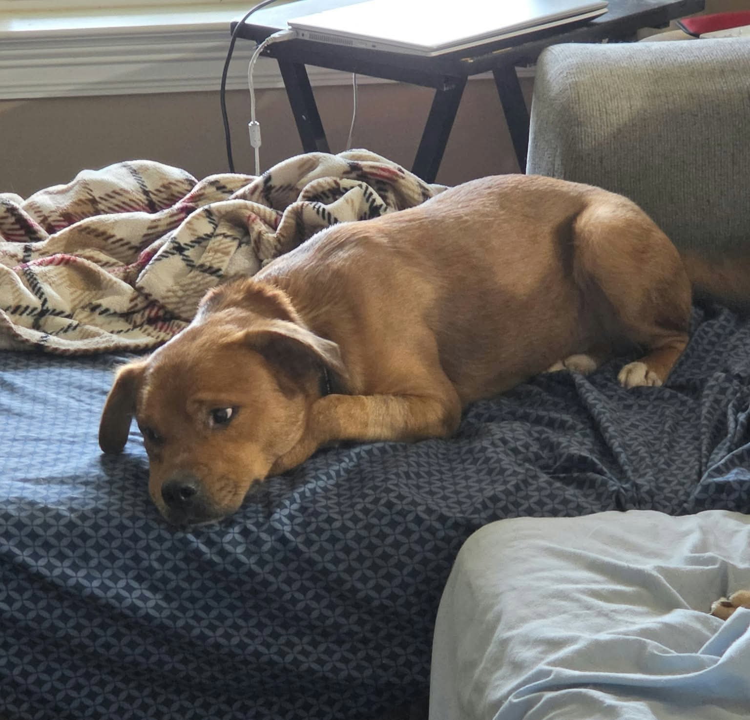 Slugger- looking for his second chance