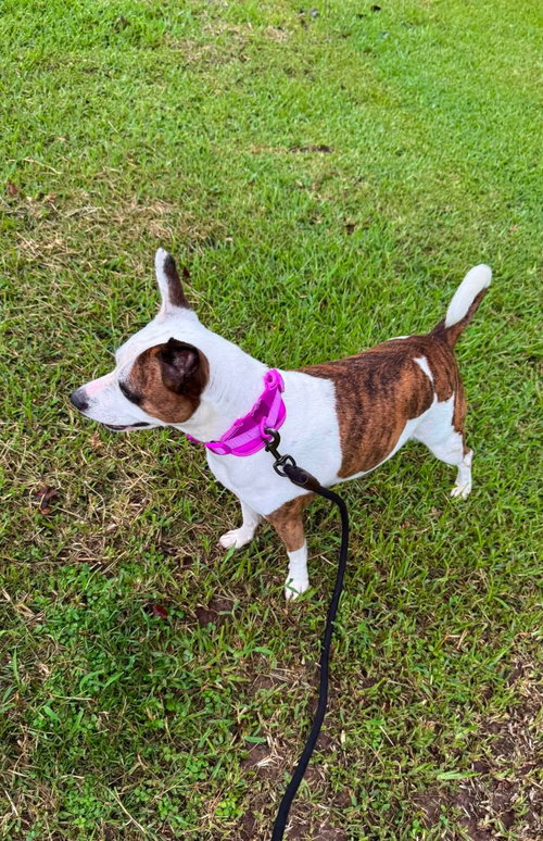 Photo 4 of Beans- beautiful girl