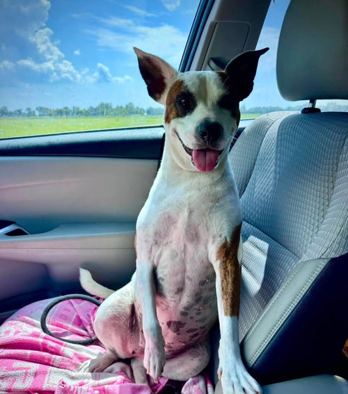 Photo 2 of Beans- beautiful girl