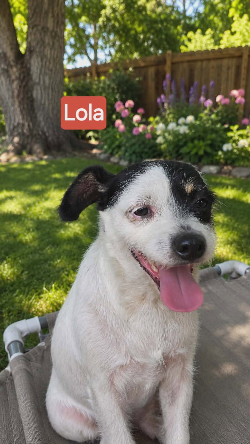Lola