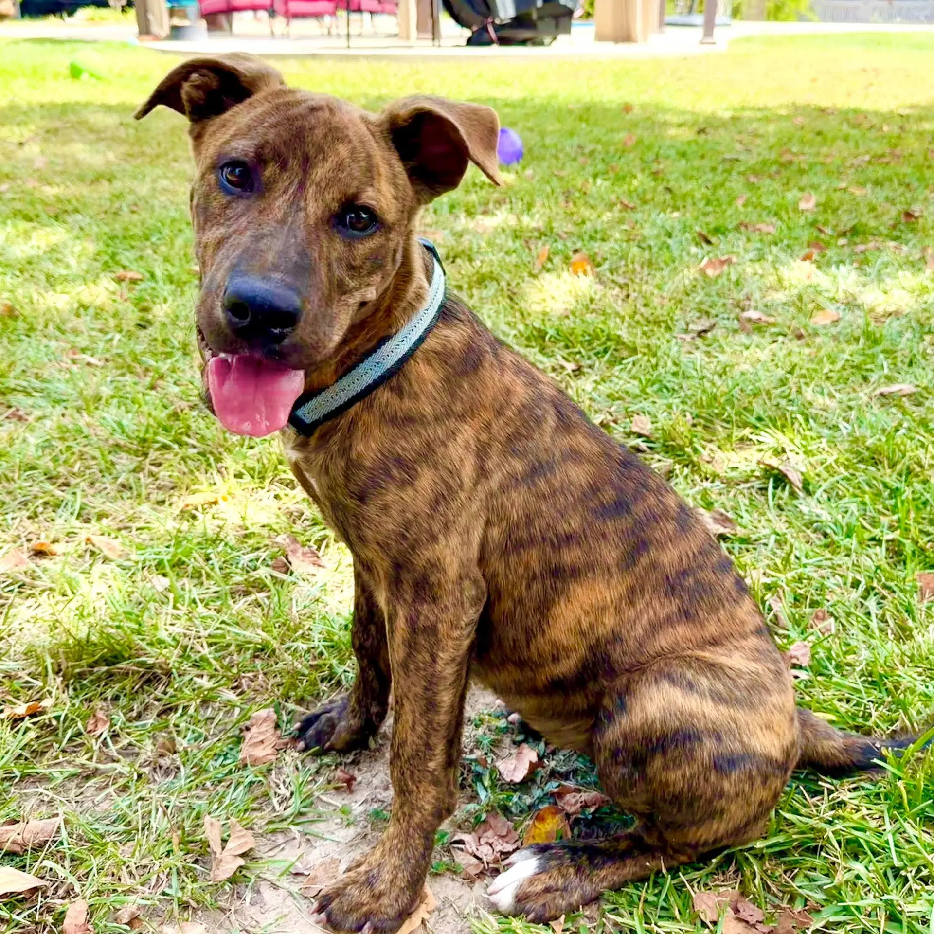 Zoey- Total Package image 1