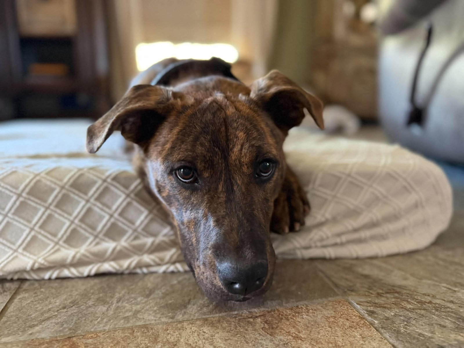 Zoey- total package, photo 2