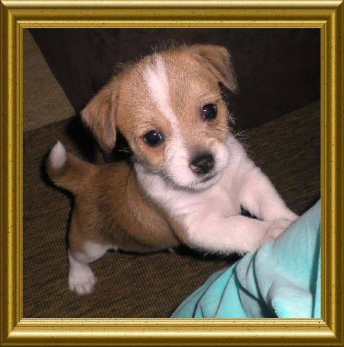 Charlie