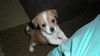 Charlie