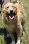 Pete