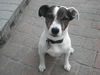 Charlie