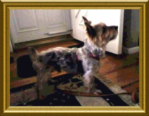 Charlie