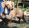 Sally                   2