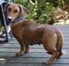 Sally                   2