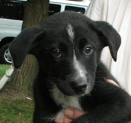 Sally