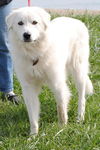 Chalky
