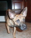 Angie aka Lola