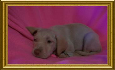 Sally