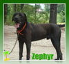 zephyr