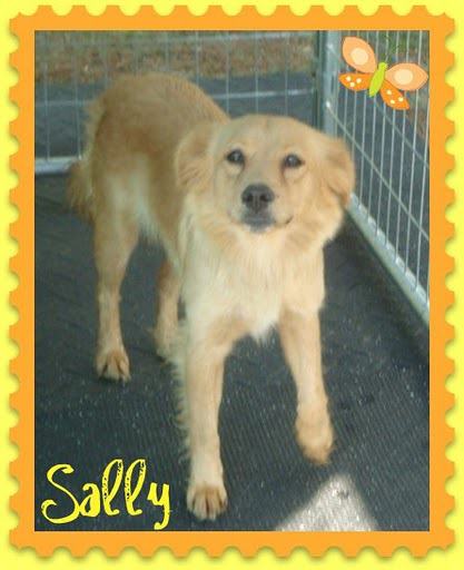Sally 6
