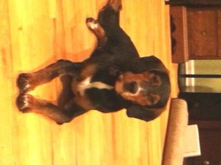 Weezel aka Buddy