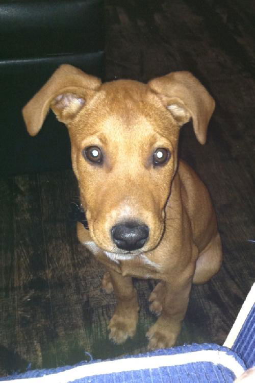 Jax